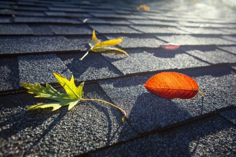roof this fall
